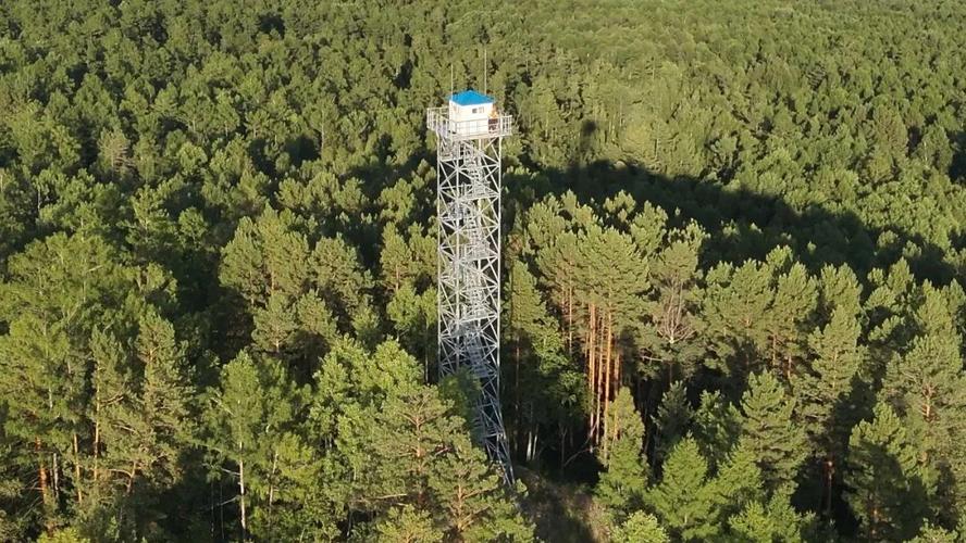 Forest Application Examples