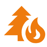 pine-tree-fire