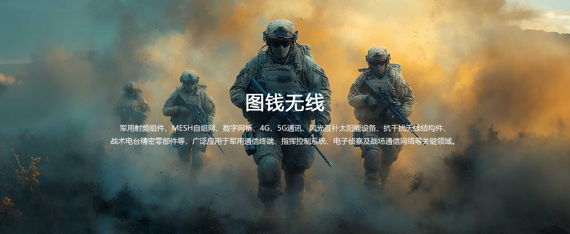 点对点无线网络,点对多点无线网络