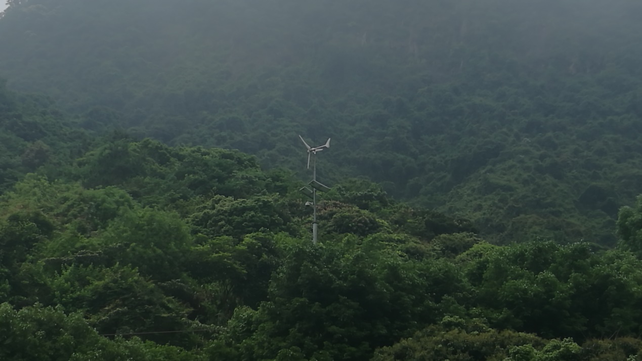 郊野公园3.jpg