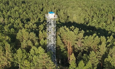 Forest Application Examples.png